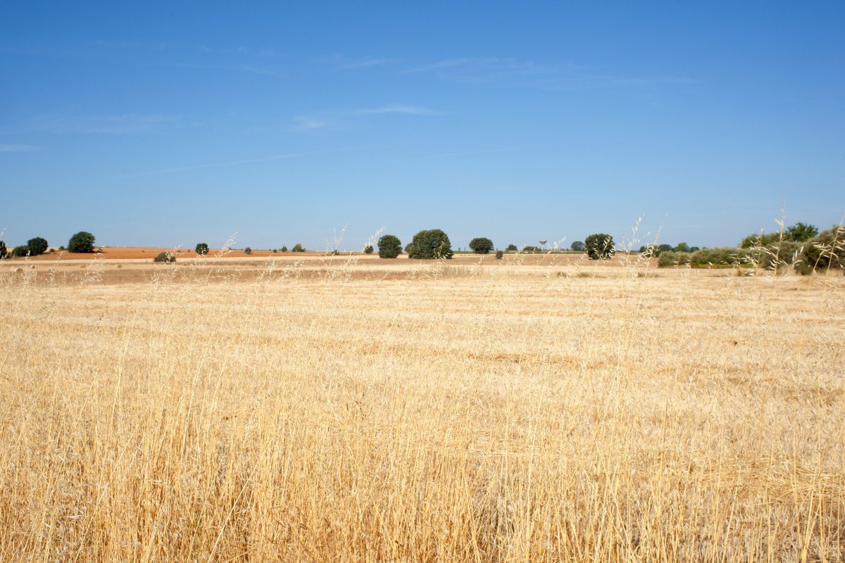 Meilleur burger Aix en provence